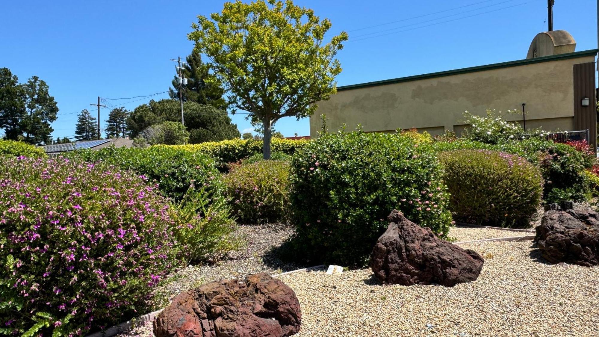 Hitching Post Studios Inn Santa Cruz Buitenkant foto