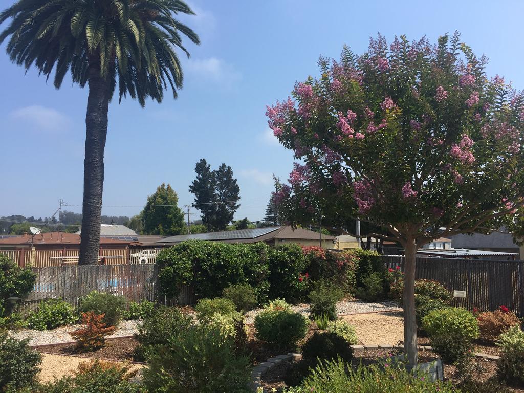 Hitching Post Studios Inn Santa Cruz Buitenkant foto